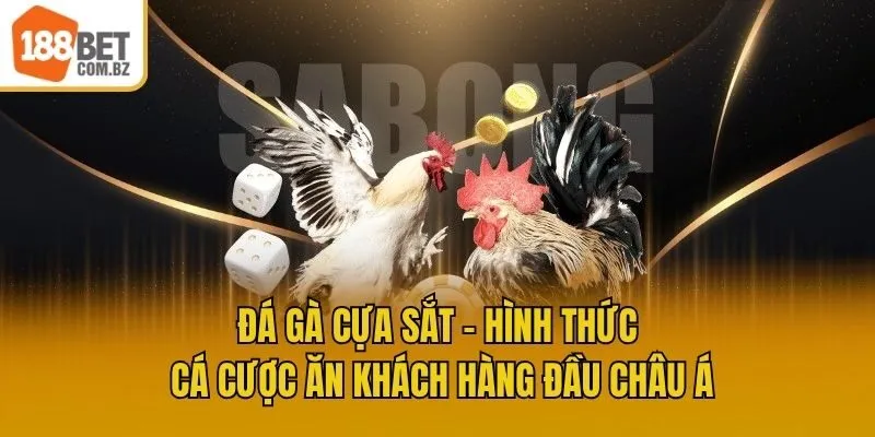 Đá Gà Cựa Sắt - Hình Thức Cá Cược Ăn Khách Hàng Đầu Châu Á