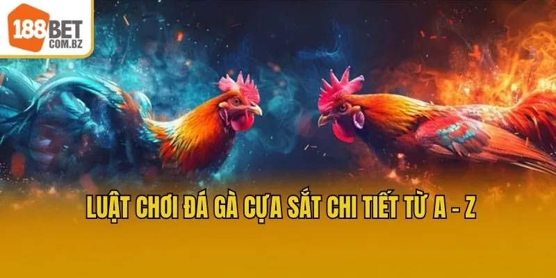 Luật chơi Đá gà cựa sắt chi tiết từ A - Z