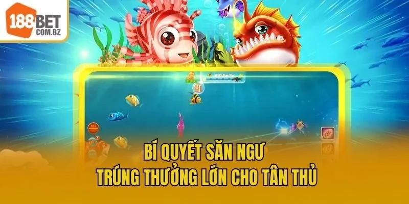Bí quyết săn ngư trúng thưởng lớn cho tân thủ