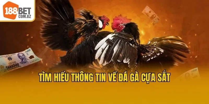 Tìm hiểu thông tin về đá gà cựa sắt 
